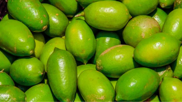 best lemon exporter in Bangladesh