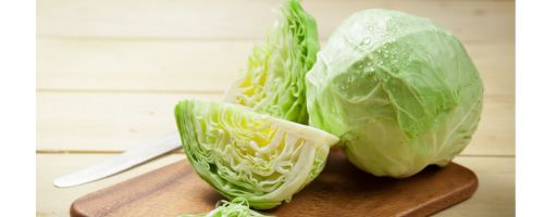 cabbage